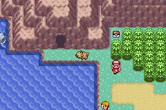 Bidoof ready at the entrance of the Altering Cave.