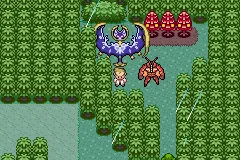 Ubicación de Buzzwole