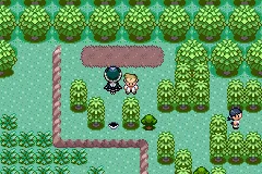 Ubicación de Calyrex