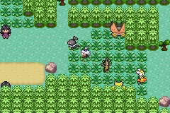 Chatot's location on Route 123.