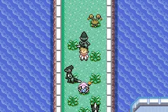 A Cyclizar in the grass on Route 110.