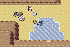 A Delibird in Shoal Cave.