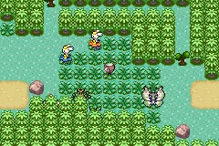 Location of Flabébé on Route 123