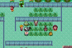 Galarian Zigzagoon's location on Route 121.