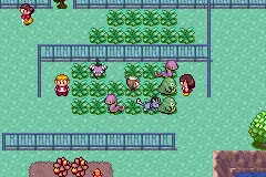 Alolan Grimer's location on Route 121.