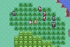 Iron Bundle appearing on Mirage Island with Delibird leading the party.