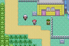 Defeating Leaf on Route 110.