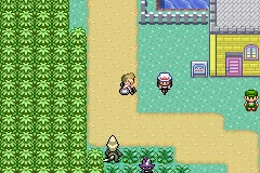 Battling Leaf on Route 110.