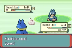 Your Munchlax using Covet to get the wild Munchlax's Leftovers.