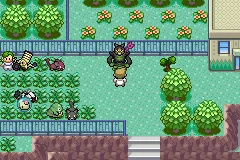 Ubicación de Okidogi