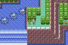 Using the Wailmer Pail on the Sudowoodo blocking the path.