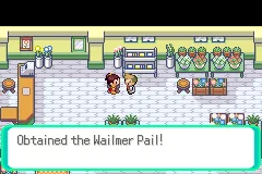 Getting the Wailmer Pail at the flower shop.